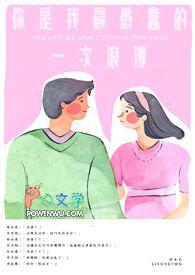 你是我最愚蠢的一次浪漫是什么意思