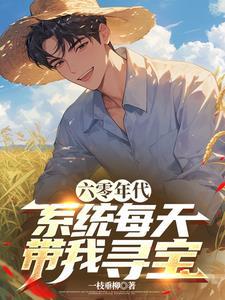 六零有系统 六零有系统
