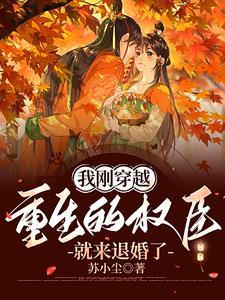 穿越后我成了权臣的 穿越后我成了权臣的