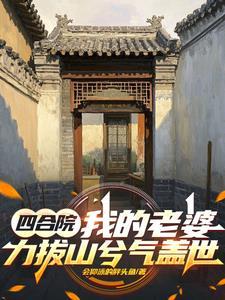 我的四合院电视剧 我的四合院电视剧