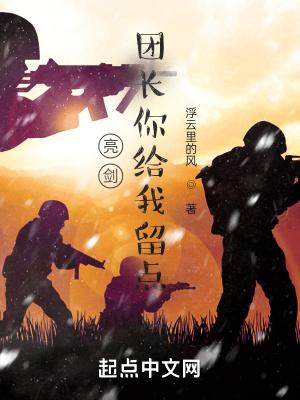 亮剑旅长我给你跪下了是哪一集 亮剑旅长我给你跪下了是哪一集
