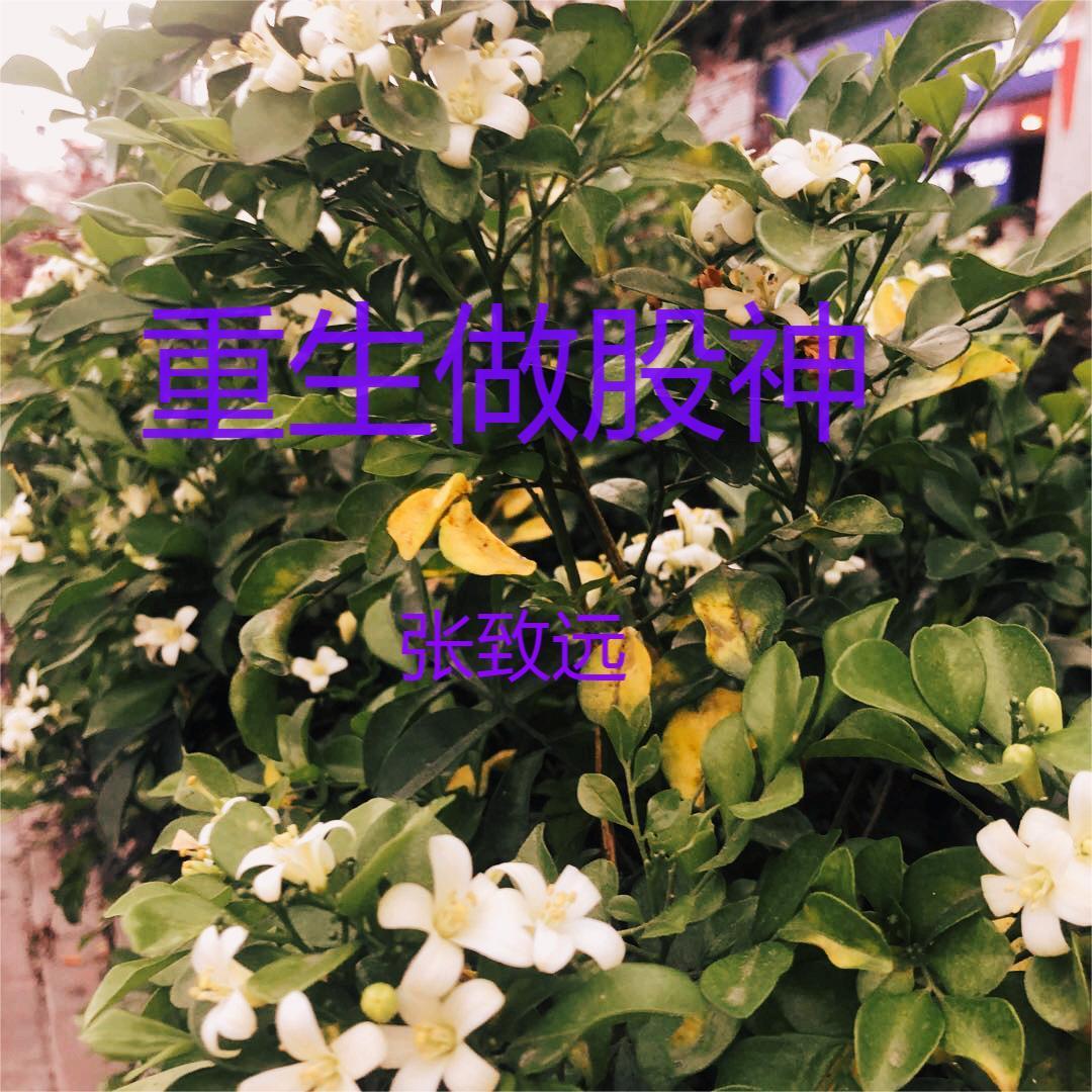 重生股神从十倍杠杆开始全文阅读 重生股神从十倍杠杆开始全文阅读