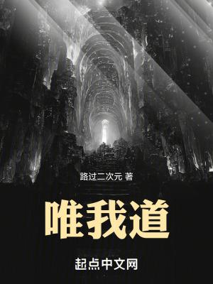 唯我道路过二次元 唯我道路过二次元