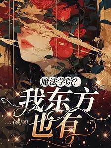 乱世魔法师 乱世魔法师