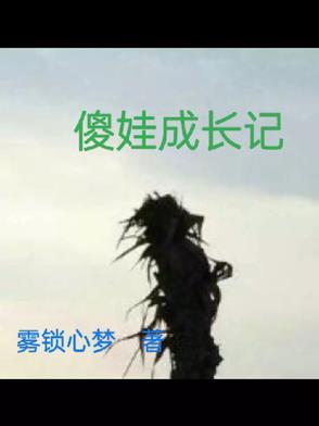 傻娃子什么意思