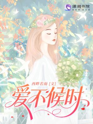 爱不逢时歌词 爱不逢时歌词