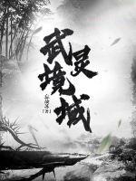 天武境和灵武境 天武境和灵武境