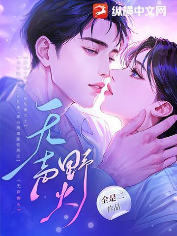 无声野火全集 无声野火全集