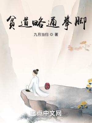 贫道略通拳脚看书网TXT 贫道略通拳脚看书网TXT