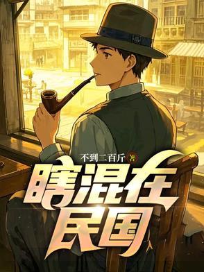 混在民国的生涯
