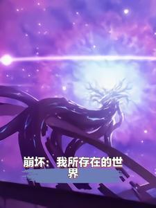 崩坏我所存在的世界 崩坏我所存在的世界