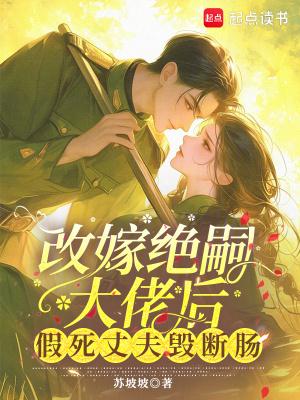 改嫁免费阅读
