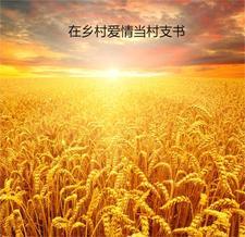 在乡村爱情当村支书 笔趣阁 在乡村爱情当村支书 笔趣阁