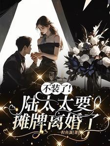 陆太太又闹离婚了