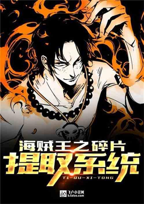 海贼王之碎片提取系统TXT 海贼王之碎片提取系统TXT