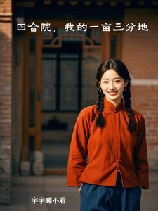 四合院我成了一大爷