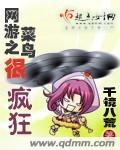 网游之菜鸟很疯狂王石结局 网游之菜鸟很疯狂王石结局