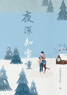 夜深知雪重by