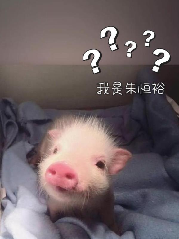 朱恒仁采访视频 朱恒仁采访视频