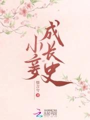 小妾的经典 小妾的经典