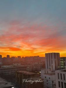 女帝最后死没死 女帝最后死没死