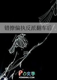 错撩偏执反派翻车后笔趣阁 错撩偏执反派翻车后笔趣阁