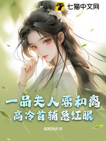 一品夫人txt 一品夫人txt