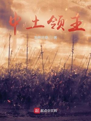 魔戒中土领主TXT 魔戒中土领主TXT
