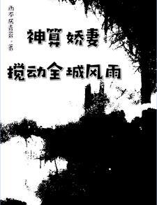神算系列 神算系列