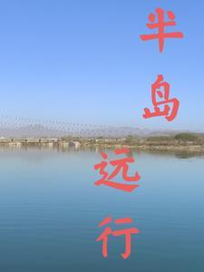 半岛小导游 半岛小导游