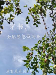 穿书