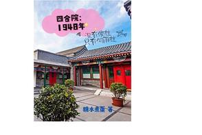四合院不一样的傻柱 四合院不一样的傻柱
