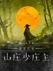 孔雀山庄的武功