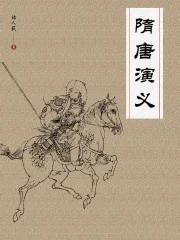 隋唐演义严屹宽版 隋唐演义严屹宽版