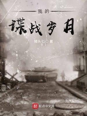 猪头七我的谍战岁月 猪头七我的谍战岁月