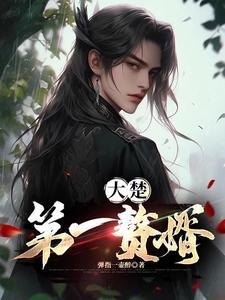 第一赘婿 楚清音 第一赘婿 楚清音