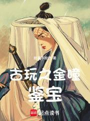古玩之金瞳鉴宝 捡漏不捡钱TXT