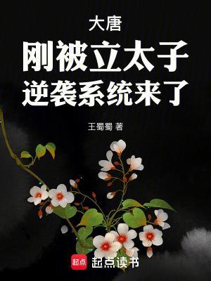 大唐开局被迫当太子