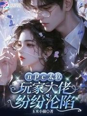 npc玩家 npc玩家