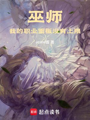 巫师我的职业面板没有上限碧趣阁 巫师我的职业面板没有上限碧趣阁