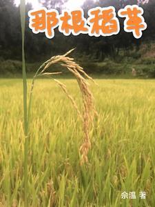 那根稻草真的很沉重 那根稻草真的很沉重