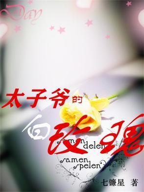 太子爷的白月光 太子爷的白月光