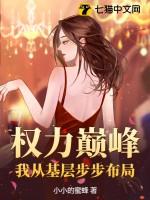 权力巅峰我从基层步步布局全文免费阅读 权力巅峰我从基层步步布局全文免费阅读