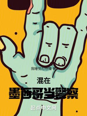 混在墨西哥当警察的电影 混在墨西哥当警察的电影