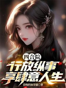 四合院行放纵事 四合院行放纵事