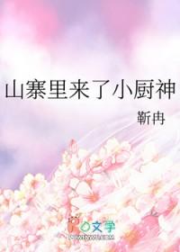 山寨里来了小厨神作者靳冉