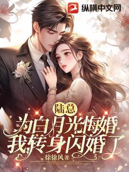 我转身闪婚了 作者徐徐风 我转身闪婚了 作者徐徐风