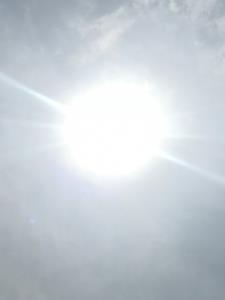 谢家是什么电视剧 谢家是什么电视剧