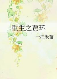 重生贾环之攻略 重生贾环之攻略