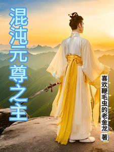 混沌元力 混沌元力